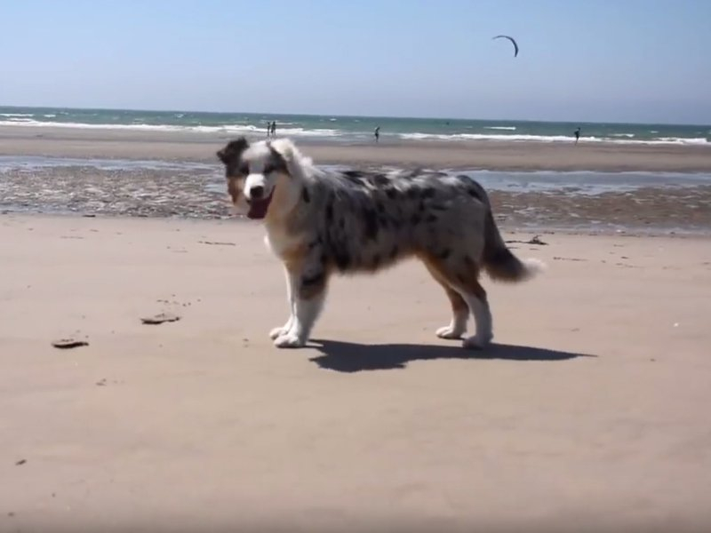 Vidéo C'est l'heure des vacances à la plage pour Maje un Vidéo C'est l'heure des vacances à la plage pour Maje un