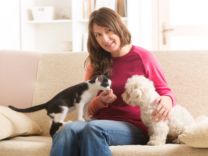 Rencontre entre chien et chat