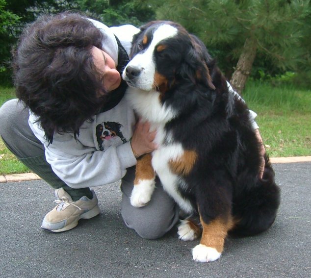 La Dysplasie de la Hanche chez le chien La Dysplasie de la Hanche chez le chien