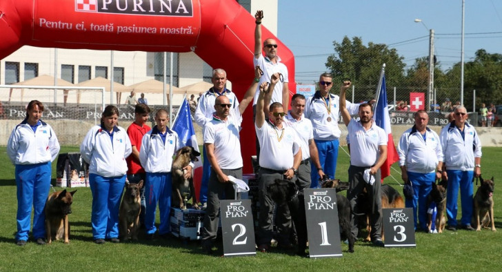 Championnat du monde des chiens de sauvetage : compte-rendu Championnat du monde des chiens de sauvetage : compte-rendu