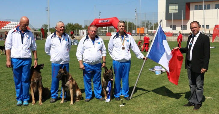 Championnat du monde des chiens de sauvetage : compte-rendu Championnat du monde des chiens de sauvetage : compte-rendu
