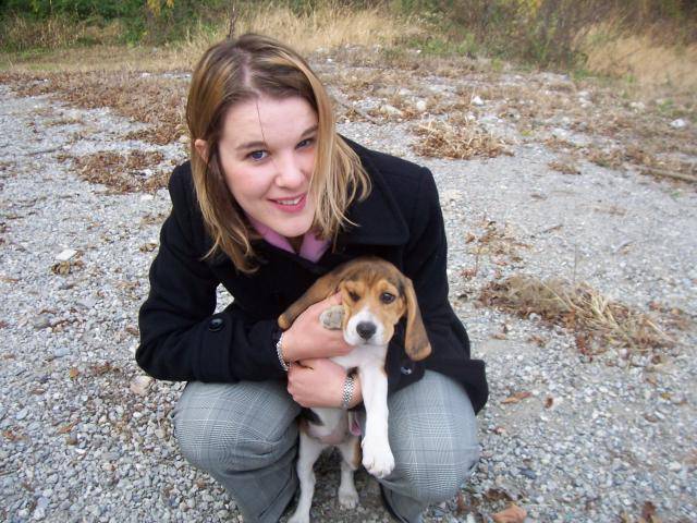 Photo BEAGLE CASSY 4 MOIS : Beagle (4 mois) Photo BEAGLE CASSY 4 MOIS : Beagle (4 mois)