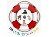 Les Oubliés de la Run