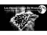 La Cité de Meereen