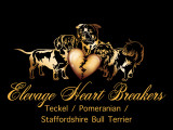 Heart Breakers