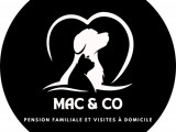 Mac & Co