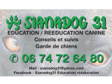 Sianadog 31