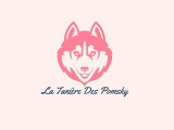 La Tanière des Pomsky
