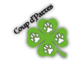 Coup d‘Pattes