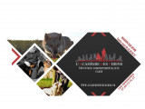 L’Académie Des Chiens