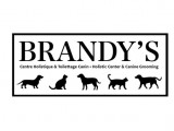 Brandy's