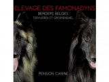 Des Famonadyns