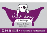 Elle' Dog