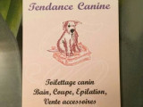 Tendance canine