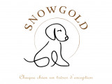 Snowgold