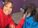 Nos Fidèles Compagnons