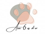 Aux 6 os d’or