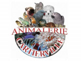 Animalerie Cartierville