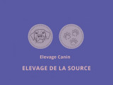 De la Source