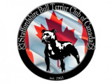 Staffordshire Bull Terrier Club of Canada (SBTCC)