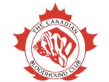 Canadian Bloodhound Club (CBC)