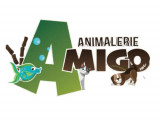 Amigo