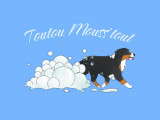 Toutou Mouss'tout