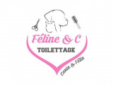 Féline Toilettage