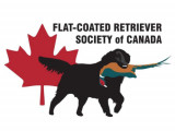 Flat-Coated Retriever Society of Canada
