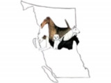 BC All Terrier Club (BCATC)