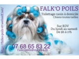 Falk'O Poils