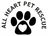All Heart Pet Rescue