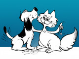 North Bay and District Humane Society