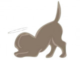 Animal Guardian Society (TAGS)