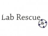 Lab Rescue