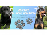 Domaine des Doux Coussinets