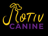 Motiv'Canine