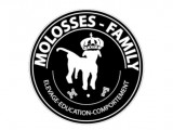 Molosses Family