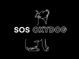 SOS Oxydog