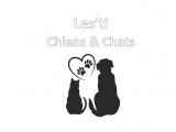Les'ti chiens et chats