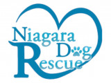 Niagara Dog Rescue