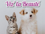 Viz'labeauté