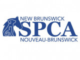 Société pour la prévention de la cruauté envers les animaux (SPCANB)