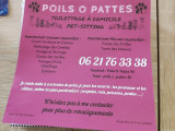 Poil O Pattes