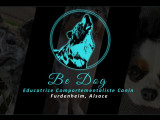Be Dog