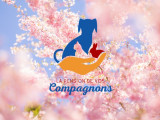 La pension de vos compagnons