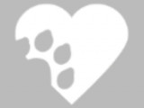 McEwen-Frontenac Animal Hospital