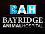Bayridge Animal Hospital