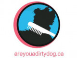 Are You A Dirty Dog?