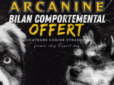 Arcanine education canine strasbourg